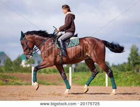 Jovem, montando em cavalo Baía
