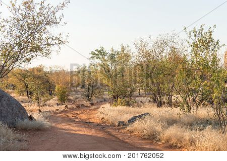A road landscape at the Hoada Rest Camp in the Kunene Region of Namibia at sunset