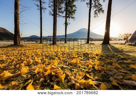 Mount Fuji Fujisan sunrise at Fumoto Japan