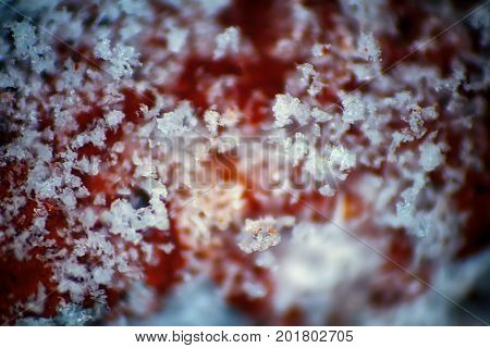 Thin Layer Of Melting Snow On Stone