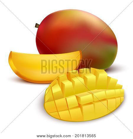 Realistic Detailed Exotic Ripe Tropical Fruit Mango and Part Yummy Dessert. Vector illustration of Mangoes Slices