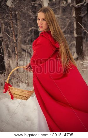 Girl in costume Little Red Riding Hood with dog like a wolf and a basket with apples and pies in the winter in the woods in the snow