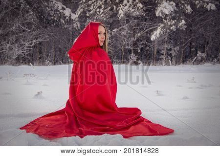 Girl in costume Little Red Riding Hood with dog like a wolf and a basket with apples and pies in the winter in the woods in the snow
