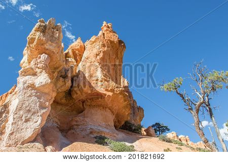 View from the Navajo Loop Trail in Bryce Canyon National Park, UT