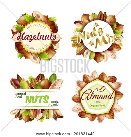 Premium colorful natural nuts labels set with walnut peanut almond hazelnut cashew pistachio brazil nuts isolated vector illustration