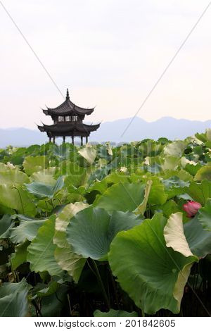 Beihai Park Scenery With Pavilion And Lotus In Summer In Beijing,china