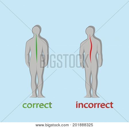 Correct alignment of human body in standing posture for good personality and healthy of spine and bone. Health care and medical illustration