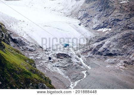 Snow And Grass