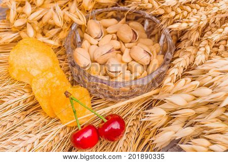 Pistachio nuts, peanuts and potato chips a snack for beer lying in a glass dish surrounded by ingredients for making malt for beer, bread. Spikes of wheat, barley, oats, rye, and cherry for cherry beer