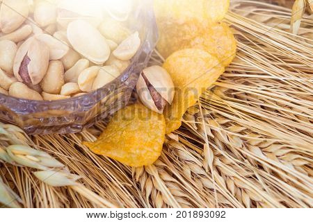 Pistachio nuts, peanuts and potato chips a snack for beer lying in a glass dish surrounded by ingredients for making malt for beer, bread. Spikes of wheat, barley, oats, rye.