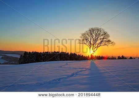 Snowy winter Christmas Landscape.Winter sunset over the snow-covered tree.