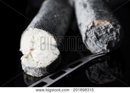Studio Shot Of French Goat Cheese Saint Maure