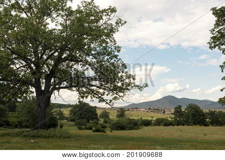Pasture Village above the Valsain Valley in Madrid España