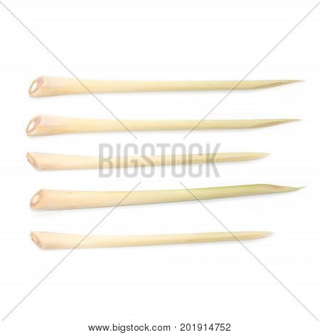 Ingredent And Herb Food : Fresh Lemongrass Isolate On White Background