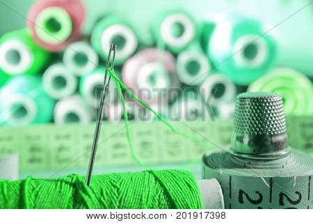 Detail of a Needle with Thread in the Workroom.