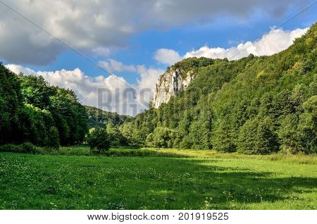 Sunny summer landscape. Beautiful green Jurassic valley in Poland.