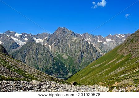 Amazing nature view of green mountain forest and tree growing on a rock, natural landscape perspective, Caucasus, Russia.