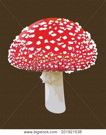 Beautiful vector art with poisonous amanita mushroom.