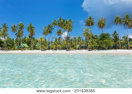Palm trees on beautiful tropical beach on Koh Kood island in Thailand