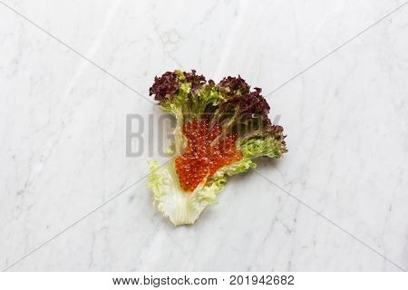 Top view of red caviar on a salad leaf on a light marble background. copy space, Top view.