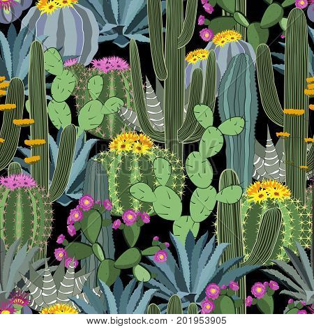 Seamless pattern with cactus. Wild cactus forest vector