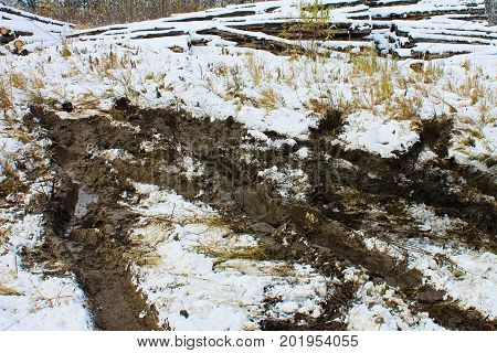 Tracks From A Truck That Was Stuck In The Muskeg
