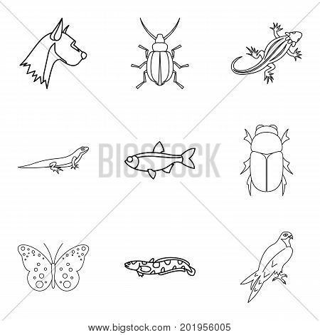 Wood beetle icons set. Outline set of 9 wood beetle icons for web isolated on white background
