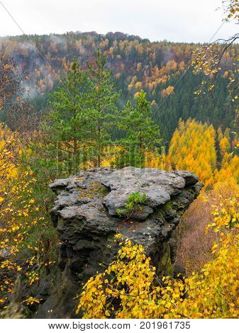 Sandstone rock formation in the middle of colorful autumn forest. Dramatic evening view. Tisa Rocks, aka Tiske Walls, Czech-Saxon Switzerland, Czech Republic