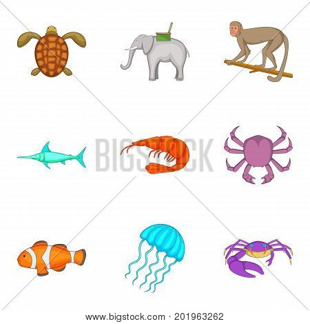 Crab icons set. Cartoon set of 9 crab vector icons for web isolated on white background