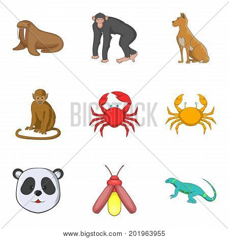 Monkey icons set. Cartoon set of 9 monkey vector icons for web isolated on white background