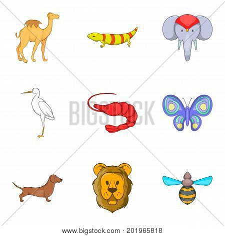 Lizard icons set. Cartoon set of 9 lizard vector icons for web isolated on white background