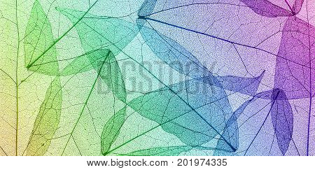 Silhouette leaves pattern for background design .