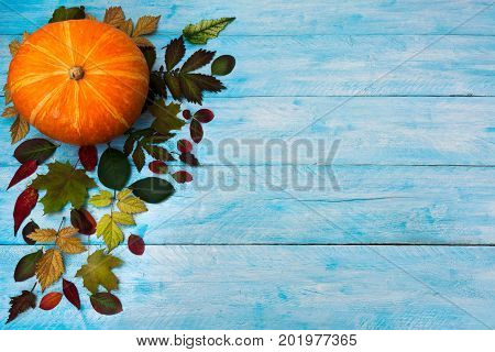 Happy Thanksgiving With Fall Leaves On Blue Background