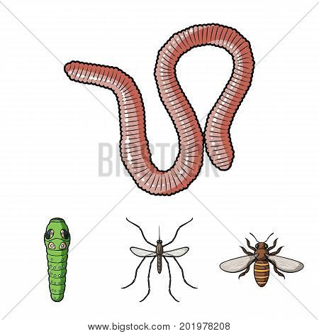 Worm, centipede, wasp, bee, hornet .Insects set collection icons in cartoon style vector symbol stock illustration .