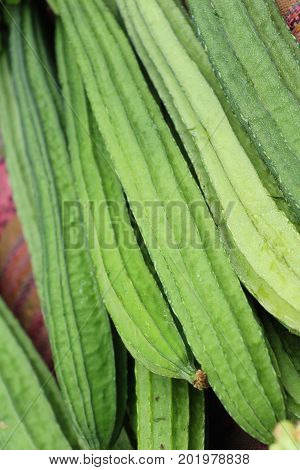 Fresh luffa acutangula for cooking in market