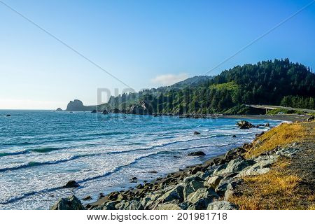 The wonderful coastline of northern California where the forest meets the Pacific.