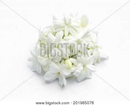 Jasmine Flowers Refreshing