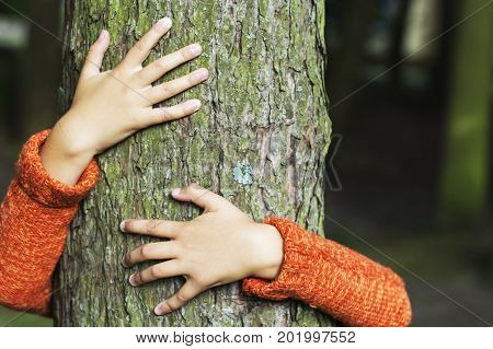 man hugging a big tree - love nature concept.