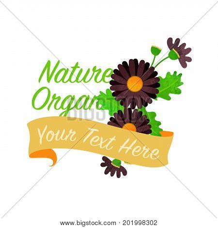 Colorful Watercolor Texture Vector Nature Botanic Garden Flower Banner Brown Diasy