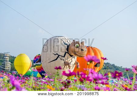 Chiangrai Thailand - Febuary 16 2017 : Singha Park International Balloon Fiesta 2017 In Singha Park,