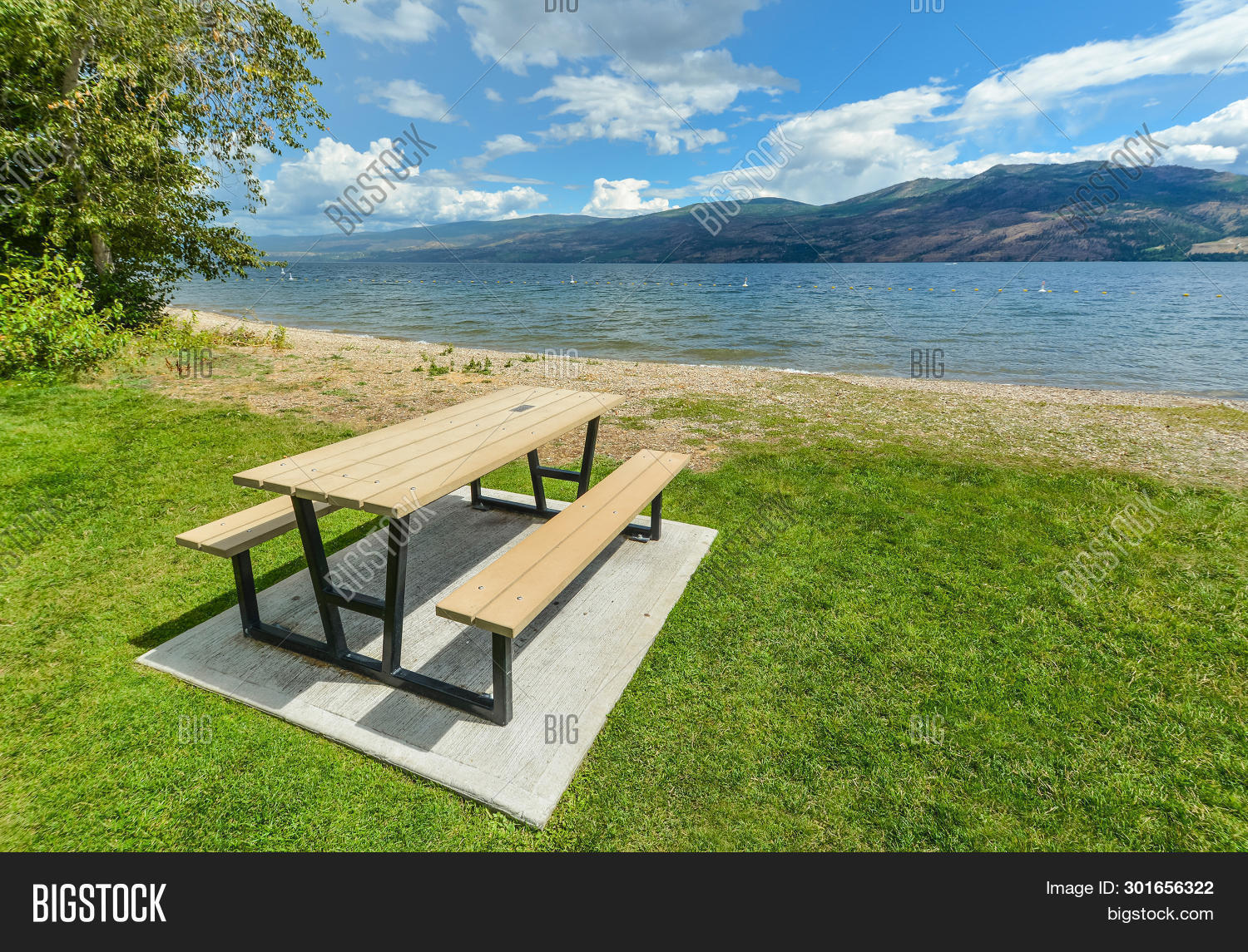 Picnic Table Benches Image & Photo (Free Trial) Bigstock