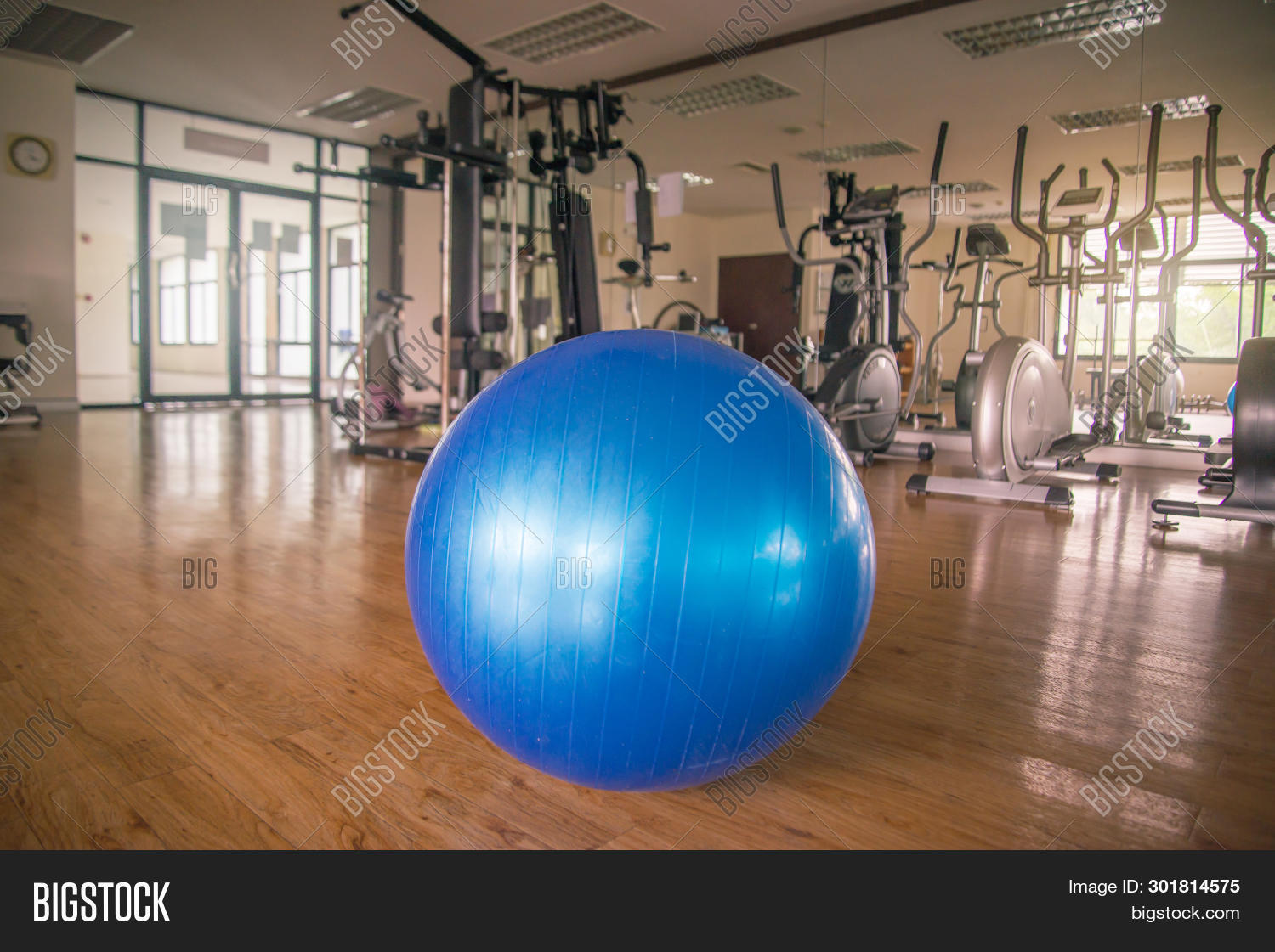 big gym balls > OFF65
