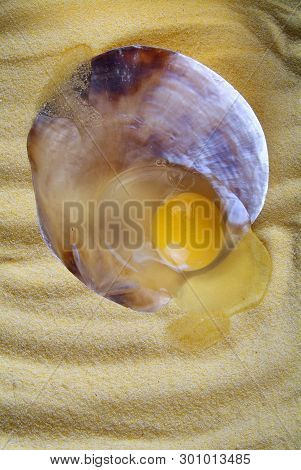 Raw Egg Isolated On Sand Background