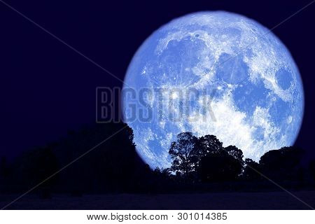 Full Buck Moon On Night Sky Back Over Silhouette Forest