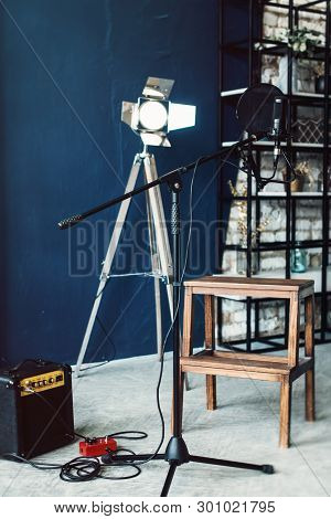 Studio Condenser Microphone With Pop Filter And Anti-vibration Mount Live Recording. Blue Wall, Spea