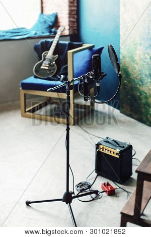 Studio Condenser Microphone With Pop Filter And Anti-vibration Mount Live Recording. Blue Wall, Spea