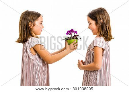 Identical Twin Girl Giving Viola Flower Pot To Her Sister.