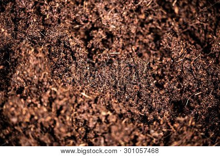Closeup Shot Of Coconut Fiber Used As Bio Soil