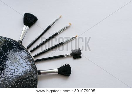 Professional Make-up Cosmetic Brushes On A White Background. The Concept Of Beauty And Fashion. Top 