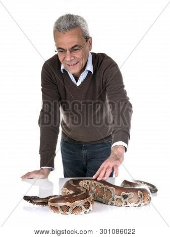 Python Brongersmai And Owner In Front Of White Background
